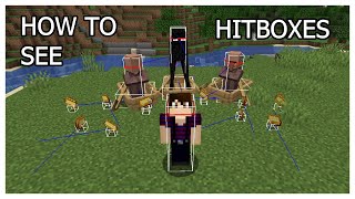 Minecraft Hitbox Shortcuts How To See Hitboxes in Minecraft [upl. by Anastasio490]