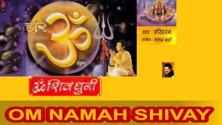 ॐ नमः शिवाय धुन Full Complete  Om Namah Shivay Dhun  Hariharan I Om Shiv Dhuni [upl. by Rosie]