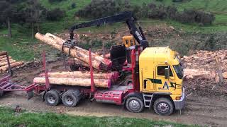 NZ LOGGING Timberpro 840 loading a truck [upl. by Ytsirc]