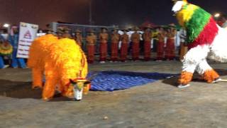 Shan traditional toenayeerdance SYO group taunggyi tazaungdaing festavial [upl. by Ynohtnaleahcim]