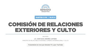 COMISIÓN RREE INF CANCILLER SANTIAGO CAFIERO 040522 [upl. by Derte]