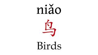 How to Pronounce 鸟 Birds in Mandarin Chinese [upl. by Ronym]