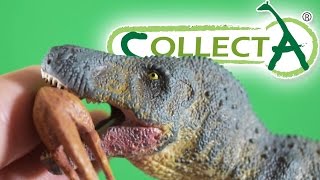 CollectA® TRex with Struthiomimus Prey [upl. by Aniham]