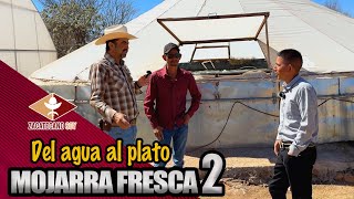 DEL AGUA AL PLATO mojarra fresca [upl. by Artened]