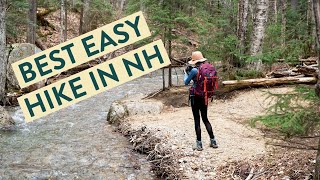 BEST EASY HIKE IN NH Waterfall hike in the White Mountains [upl. by Yazbak]