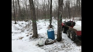 2021 Making Maple Syrup  Sirop dérable [upl. by Hassi]