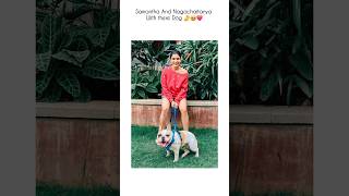 Samantha And Nagachaitanya with there pet Gog🤌❤️🥹 samantha nagachaitanya love pets breakup [upl. by Kremer]