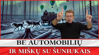 Anonsas BE AUTOMOBILIŲ IR MIŠKŲ SU ŠUNIUKAIS [upl. by Nahor683]