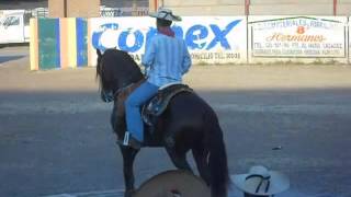 caballos bailadores 20 sep zirandaro guerrero [upl. by Oxford549]