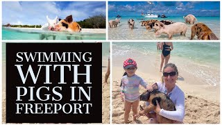 Swimming with Pigs in Freeport Bahamas  Munchkin World [upl. by Ihtac627]