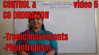 CONTROL AND COORDINATION Phototropic movements BIOLOGY ICSE Grade 10th [upl. by Acinomaj]