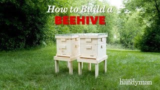 How to Build a Langstroth Beehive [upl. by Aletha587]