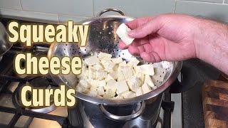 How to Make Squeaky Cheese Curds [upl. by Hyacinth]