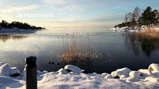 Kommunfullmäktige 161224 Hammarö Kommun [upl. by Rogers]