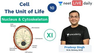 NEET Cell  The Unit of Life  L 10  Nucleus amp Cytoskeleton  Unacademy NEET  Pradeep Sir [upl. by Lilla702]