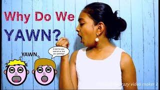 Why Do We Yawn  Yawn Meaning  Secrets Behind Yawning  English  Sashas Vlog [upl. by Ariane]