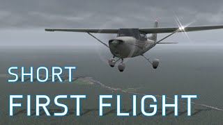 XPlane 11  GPS Approach [upl. by Nonohcle]