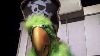 Stew Leonards Dancing Pirate Parrot [upl. by Etolas]