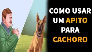 Como Usar um Apito Para Cachorros  COMO FUNCIONA O APITO CANINO [upl. by Calandria]