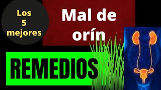 LOS 5 MEJORES REMEDIOS PARA EL MAL DE ORÍN [upl. by Eimam]