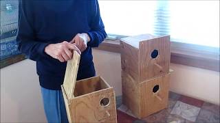 Nest Box Installation for Bourke Parakeets Works for Others Too [upl. by Ardnot718]