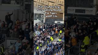 Hull City Fans Sing 🎶You’re Getting Mauled By The Tigers🎶 VS Cardiff City hcafc shorts chant [upl. by Oetsira]