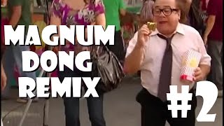 MAGNUM DONG  Remix Compilation 2 [upl. by Nnylrebma]