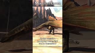 Meet the Cephadrome  Monster Hunter Ecology [upl. by Koball248]