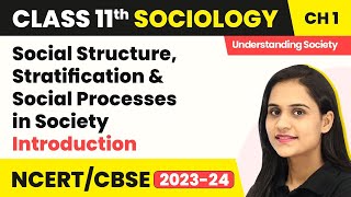 Functionalist Theories of Stratification  Stratification amp Differentiation  AQA ALevel Sociology [upl. by Bank]