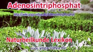 Adenosintriphosphat [upl. by Khorma]