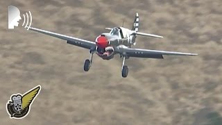 Two Curtiss P40 fighters  the sound of freedom [upl. by Aitekram]