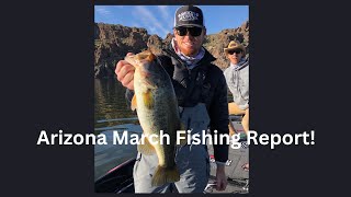 Arizona March 2023 Bass Fishing Report [upl. by Ilahtan354]