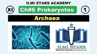 archaea class 11 biology chapter 6 prokaryotes 11th biology chapter 6 [upl. by Yeniar]