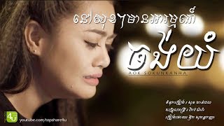 នៅសុខៗមានអារម្មណ៍ចង់យំ  Aok Sokunkanha Lyric Audio [upl. by Malchy652]