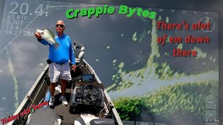 Theres alot of em down there Crappie fishing 2024 with livescope footage livescope crappie [upl. by Bills]