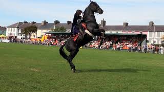 Hunt and Stunts  jumping Amazing Horse Freestyle [upl. by Esinyl]