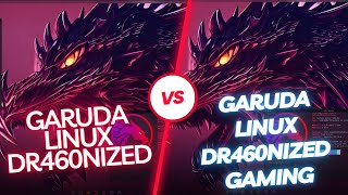 Garuda Dr460nized Gaming VS Dr460nized Edition [upl. by Annam]