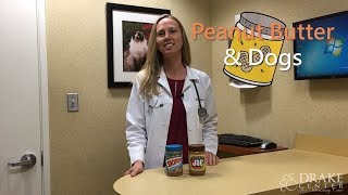 Peanut Butter amp Dogs The Ingredient That Your Pup Should Avoid [upl. by Burkhard]