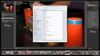Organizzazione cartelle catalogo in Lightroom [upl. by Nyssa]