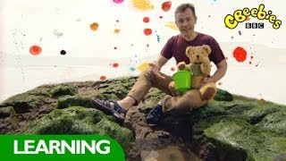 CBeebies Show Me Show Me  Rockpools [upl. by Howlond]