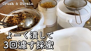 【日本ミツバチの採蜜】よーく潰して3回濾す方法😃巣枠式巣箱から引き上げた蜜を、ていねいにろ過して仕上げる蜜都宝林🥃✨✨ [upl. by Okeim262]