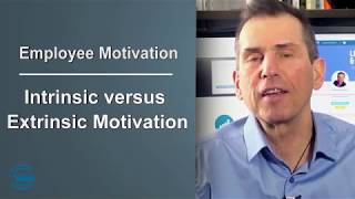 Intrinsic and Extrinsic Employee Motivation Factors [upl. by Yseulta]