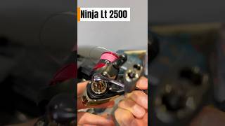 Стучит катушка Daiwa ninja lt 2000 [upl. by Nelly406]