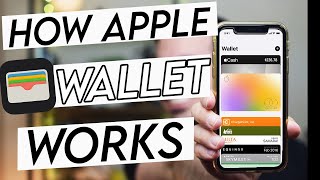 How to Use Apple Cash to Pay Apple Card A StepbyStep Guide [upl. by Namwob]