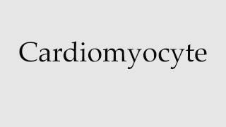 How to Pronounce Cardiomyocyte [upl. by Hgielyak]