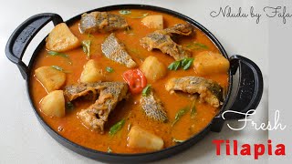 Fresh Tilapia Soup Recipe  Homemade  Perfect ONEPOT dish  Ndudu [upl. by Dody]