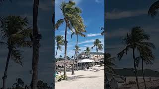 Islamorada Fish Company Fishing Docks [upl. by Burwell]