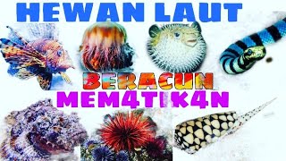 hewan laut berbahaya 9 jenis hewan laut ini beracun dan mematikan [upl. by Hoban]