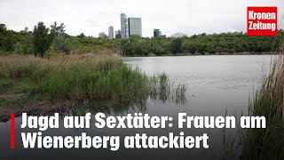 Jagd auf Sextäter Frauen am Wienerberg attackiert  kronetv NEWS [upl. by Struve617]