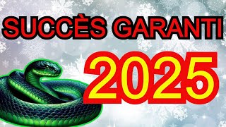 Quels signes du zodiaque graviront les échelons de carrière en 2025 [upl. by Cassil912]